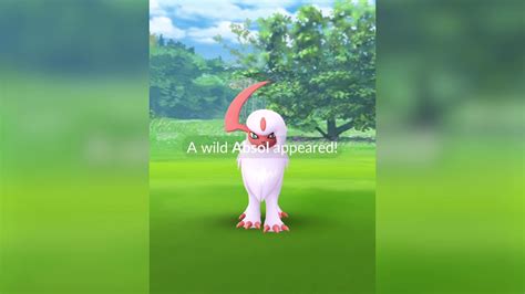 pokemon absol shiny|shiny absol pokemon go.